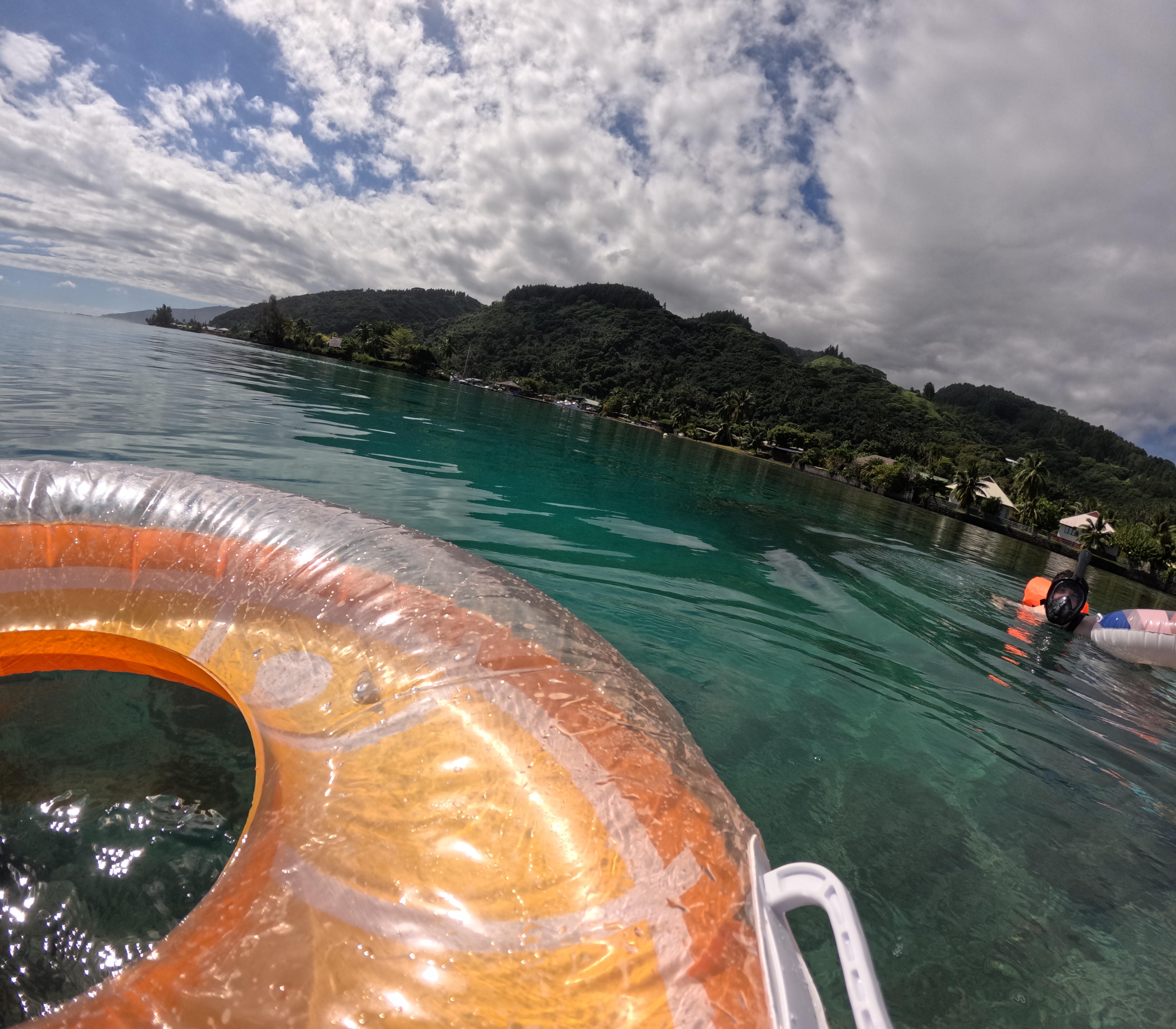 Snorkeling the Reef