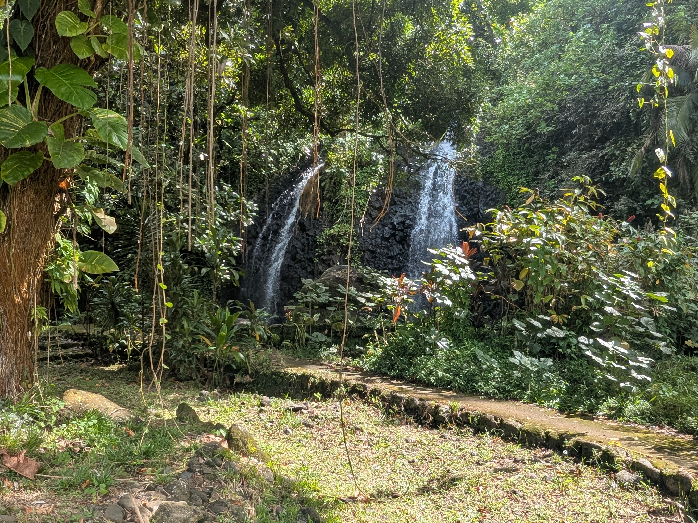 Falls